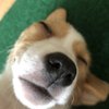 Bo C.